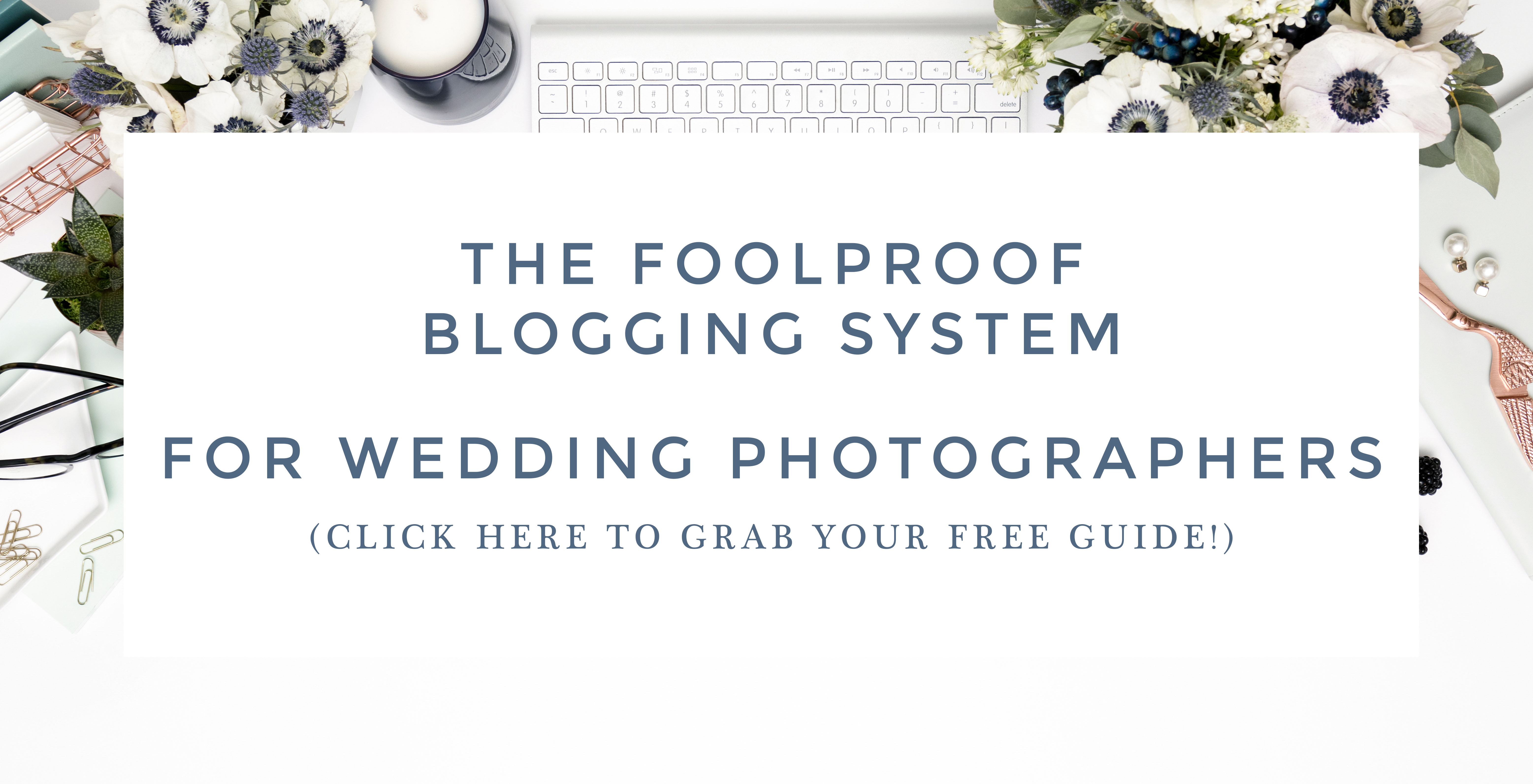 click-here-to-grab-your-free-guide-for-blogging-system2