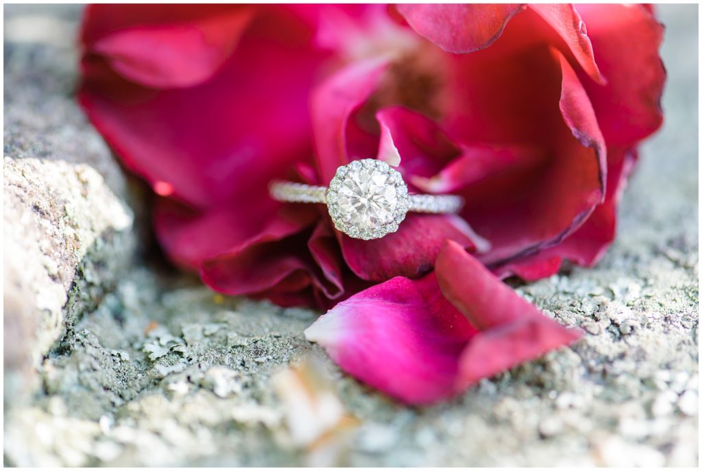 engagement ring in red flower petals
